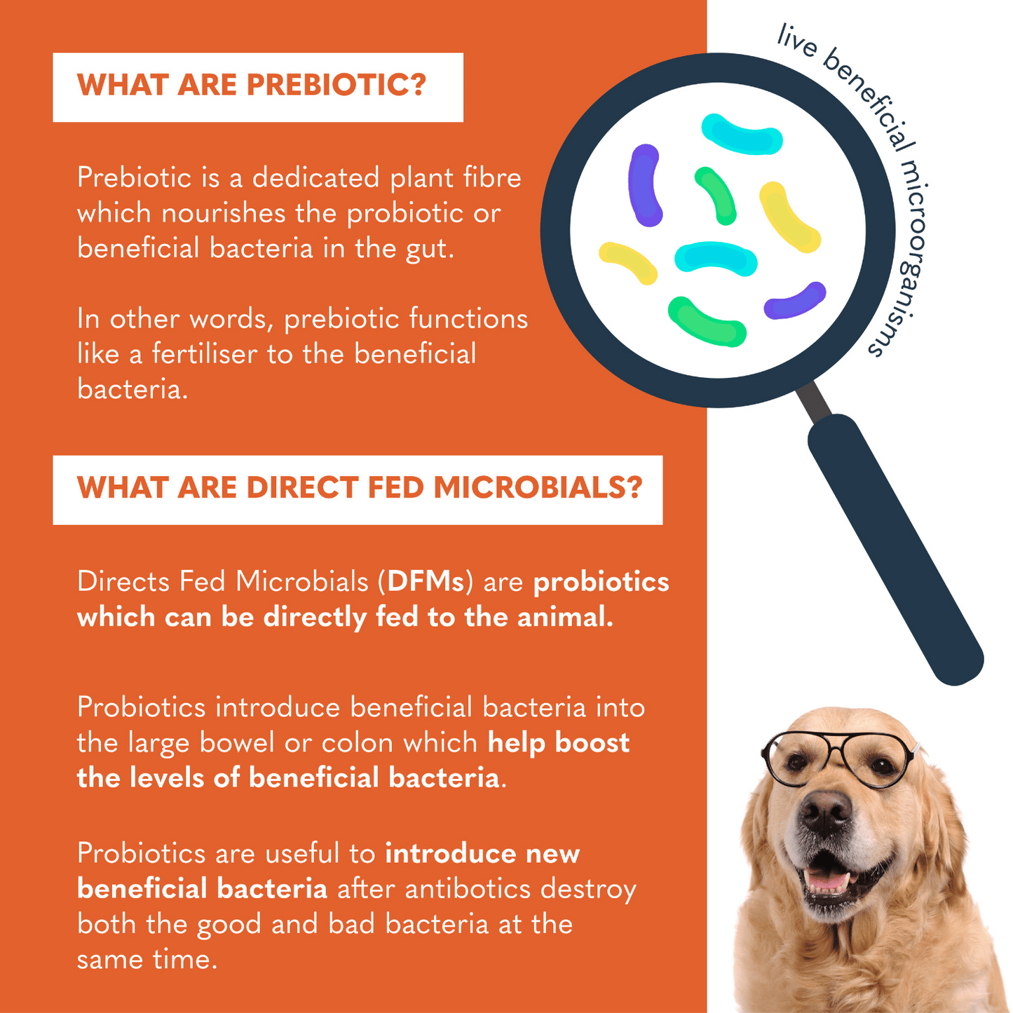 Probiotix™ Plus